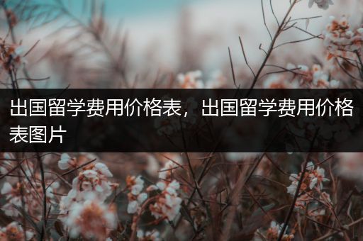 出国留学费用价格表，出国留学费用价格表图片