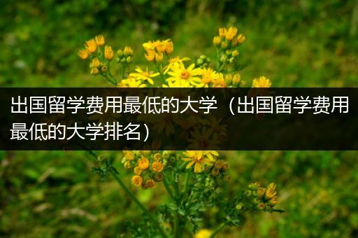 出国留学费用最低的大学（出国留学费用最低的大学排名）