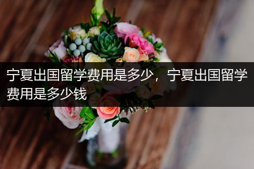 宁夏出国留学费用是多少，宁夏出国留学费用是多少钱