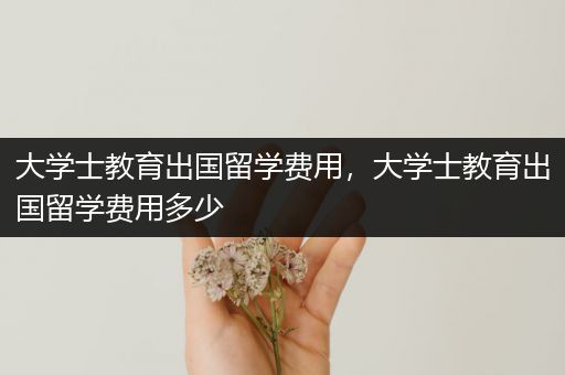 大学士教育出国留学费用，大学士教育出国留学费用多少