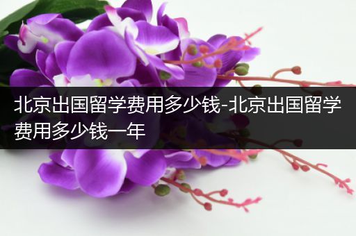 北京出国留学费用多少钱-北京出国留学费用多少钱一年