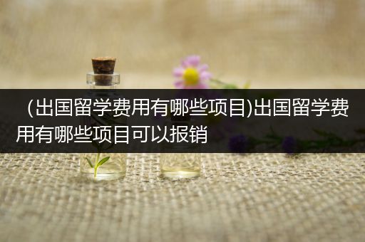 （出国留学费用有哪些项目)出国留学费用有哪些项目可以报销