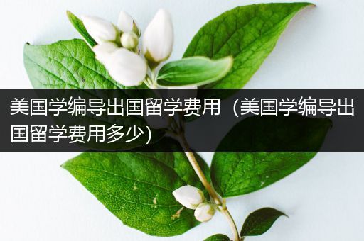 美国学编导出国留学费用（美国学编导出国留学费用多少）