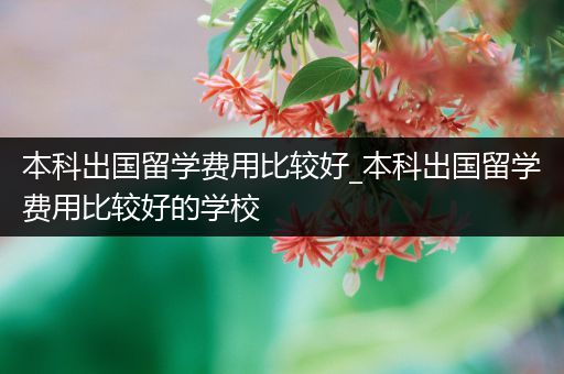 本科出国留学费用比较好_本科出国留学费用比较好的学校