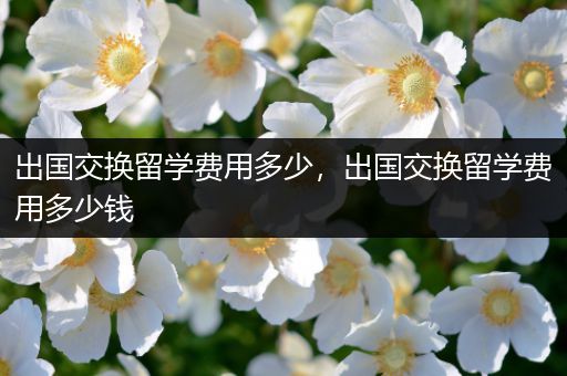 出国交换留学费用多少，出国交换留学费用多少钱
