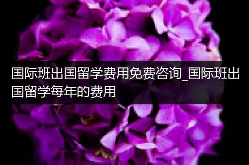 国际班出国留学费用免费咨询_国际班出国留学每年的费用