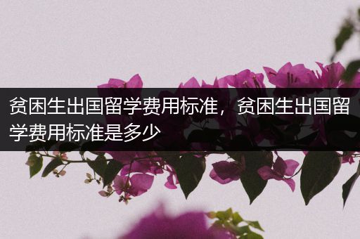 贫困生出国留学费用标准，贫困生出国留学费用标准是多少