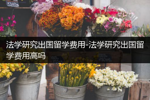 法学研究出国留学费用-法学研究出国留学费用高吗
