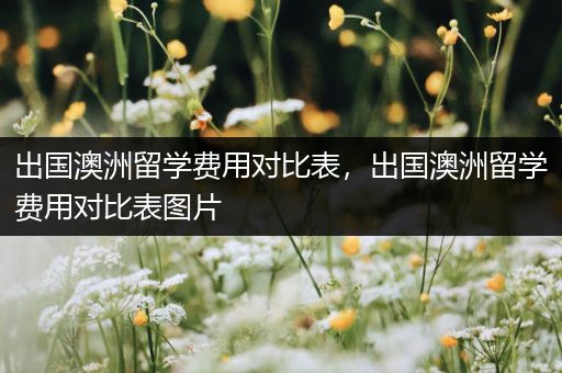 出国澳洲留学费用对比表，出国澳洲留学费用对比表图片