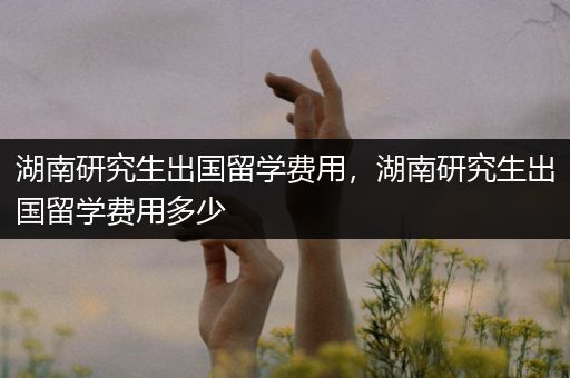 湖南研究生出国留学费用，湖南研究生出国留学费用多少