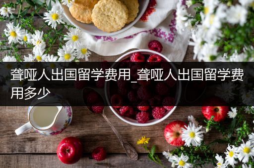 聋哑人出国留学费用_聋哑人出国留学费用多少