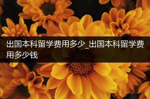 出国本科留学费用多少_出国本科留学费用多少钱