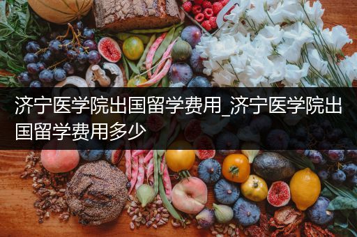 济宁医学院出国留学费用_济宁医学院出国留学费用多少