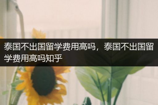 泰国不出国留学费用高吗，泰国不出国留学费用高吗知乎