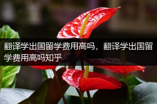 翻译学出国留学费用高吗，翻译学出国留学费用高吗知乎