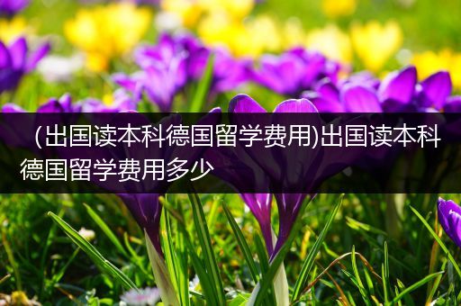 （出国读本科德国留学费用)出国读本科德国留学费用多少