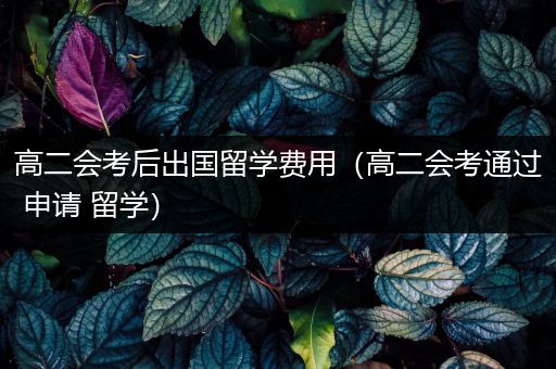 高二会考后出国留学费用（高二会考通过 申请 留学）