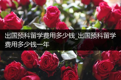 出国预科留学费用多少钱_出国预科留学费用多少钱一年
