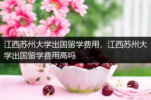 江西苏州大学出国留学费用，江西苏州大学出国留学费用高吗