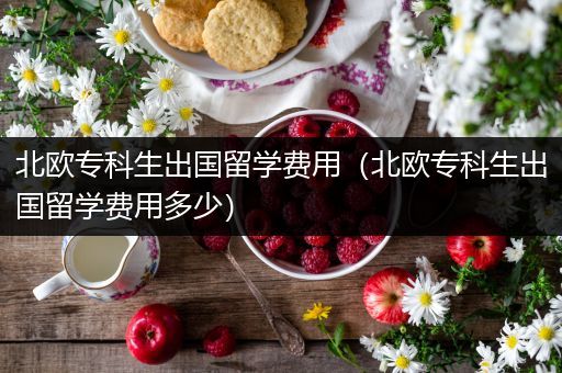 北欧专科生出国留学费用（北欧专科生出国留学费用多少）