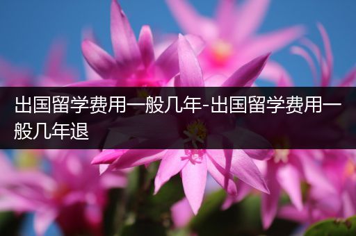 出国留学费用一般几年-出国留学费用一般几年退