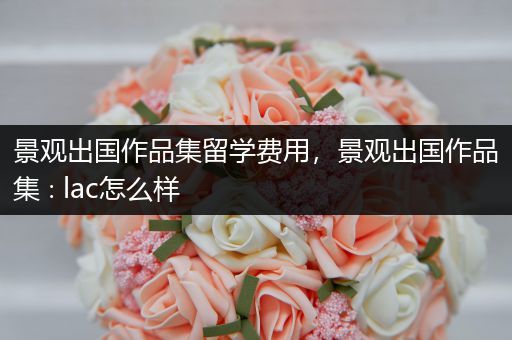 景观出国作品集留学费用，景观出国作品集∶lac怎么样