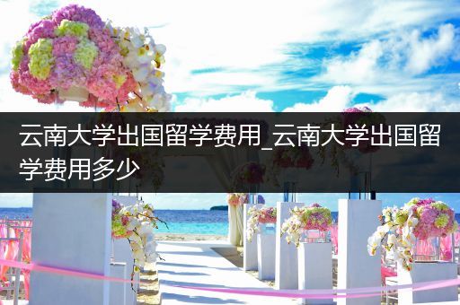 云南大学出国留学费用_云南大学出国留学费用多少
