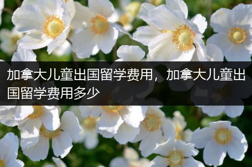 加拿大儿童出国留学费用，加拿大儿童出国留学费用多少