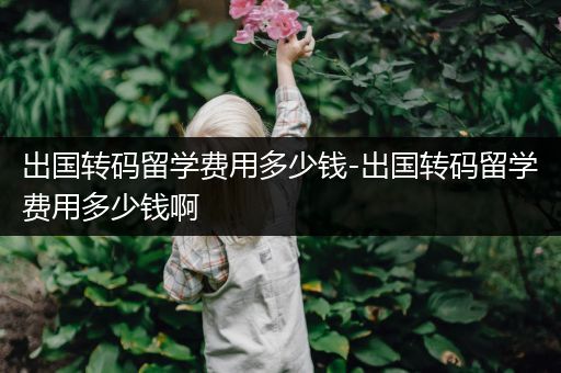 出国转码留学费用多少钱-出国转码留学费用多少钱啊