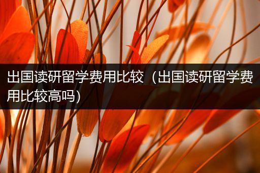 出国读研留学费用比较（出国读研留学费用比较高吗）