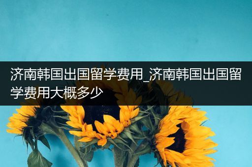 济南韩国出国留学费用_济南韩国出国留学费用大概多少