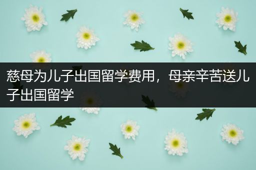 慈母为儿子出国留学费用，母亲辛苦送儿子出国留学