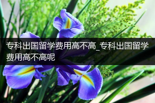 专科出国留学费用高不高_专科出国留学费用高不高呢