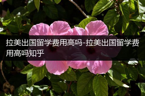 拉美出国留学费用高吗-拉美出国留学费用高吗知乎