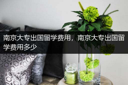 南京大专出国留学费用，南京大专出国留学费用多少