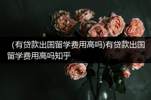 （有贷款出国留学费用高吗)有贷款出国留学费用高吗知乎
