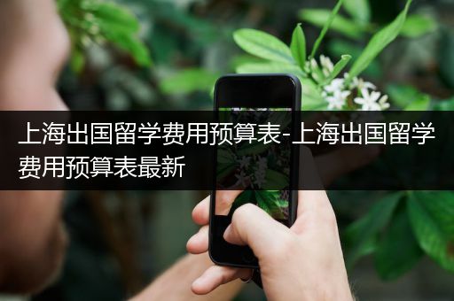 上海出国留学费用预算表-上海出国留学费用预算表最新