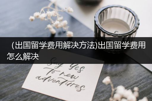 （出国留学费用解决方法)出国留学费用怎么解决