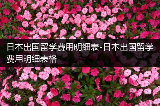 日本出国留学费用明细表-日本出国留学费用明细表格