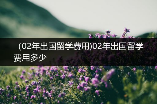 （02年出国留学费用)02年出国留学费用多少