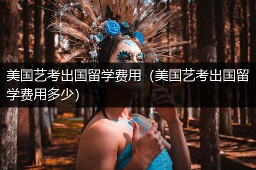 美国艺考出国留学费用（美国艺考出国留学费用多少）