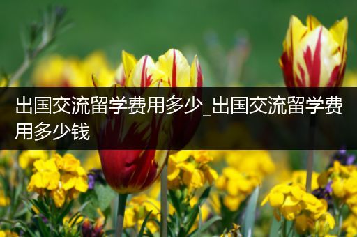 出国交流留学费用多少_出国交流留学费用多少钱
