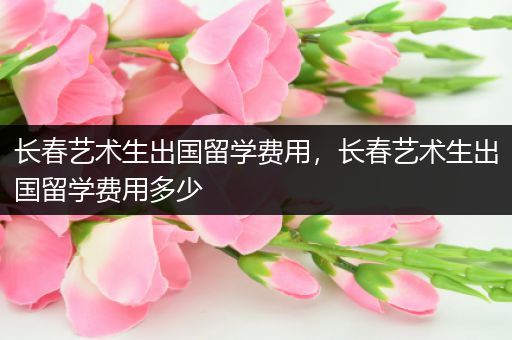 长春艺术生出国留学费用，长春艺术生出国留学费用多少