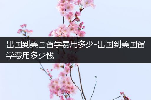 出国到美国留学费用多少-出国到美国留学费用多少钱