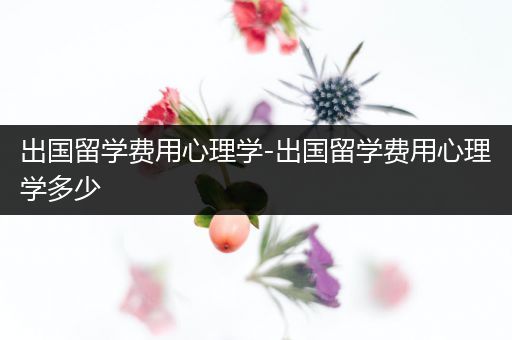 出国留学费用心理学-出国留学费用心理学多少