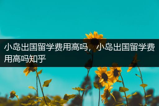 小岛出国留学费用高吗，小岛出国留学费用高吗知乎