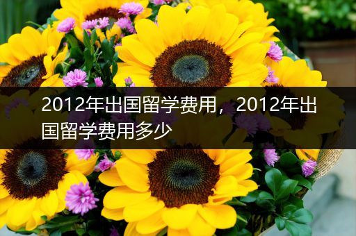 2012年出国留学费用，2012年出国留学费用多少