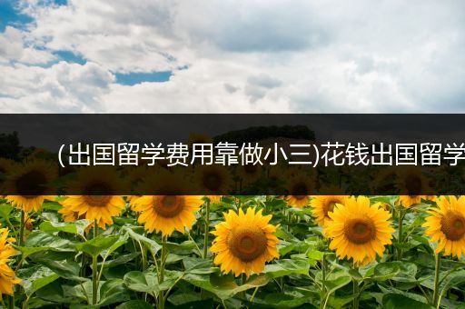 （出国留学费用靠做小三)花钱出国留学