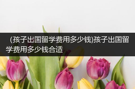 （孩子出国留学费用多少钱)孩子出国留学费用多少钱合适