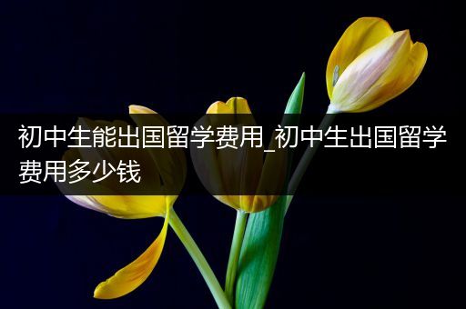 初中生能出国留学费用_初中生出国留学费用多少钱